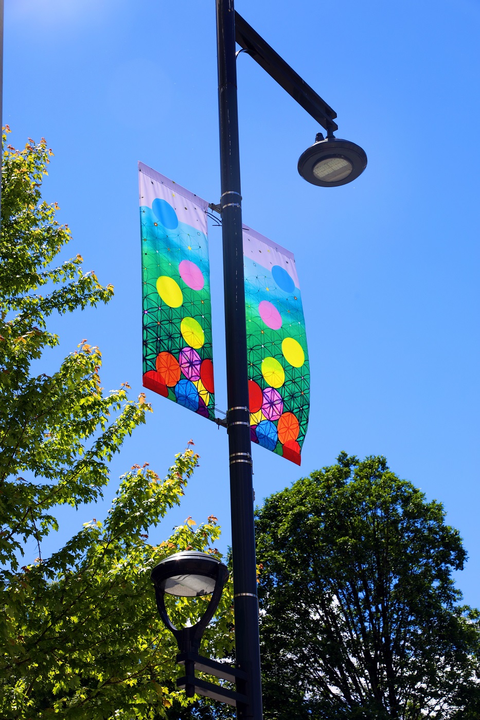 Surrey installs 2021 street banner designs - Indo-Canadian Voice