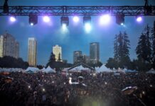Surrey Fusion Festival sees record attendance at 15th annual event