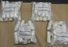 Surrey trucker Sarbjit Chahal gets prison sentence for cross-border meth smuggling