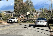 Significant windstorm impacts hundreds of thousands of BC Hydro customers on South Coast