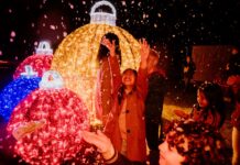 Experience magic of over a million lights at Glow Langley