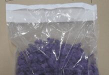 Five sentenced in Wolfpack-aligned CFSEU-BC drug trafficking investigation