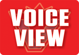 Voice View