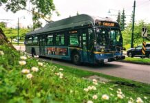 TransLink announces new bus route for South Vancouver and extra service on 34 routes