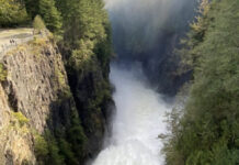 Safety education initiative for Capilano River Regional Park