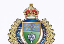 Winnipeg Police shot and killed person of interest in homicide of Delta truck driver