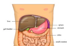 Why it’s so important to get your liver tested