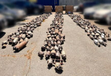 Jasvindar (Jas) Singh of Surrey charged in catalytic converter trafficking investigation