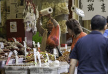 Vancouver City Council approves cultural district framework to support Chinatown revitalization