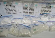 Samardeep Dhami, 22, of Surrey and Randy Chu, 40, of Burnaby charged with drug trafficking