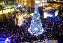 Surrey Tree Lighting Festival and Holiday Market kicks off holiday season with over 25,000 attendees