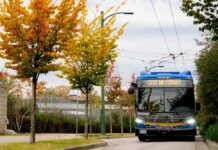 Free transit for veterans on Remembrance Day