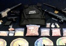 Firearms and fentanyl disguised as dog treats seized by Transit Police