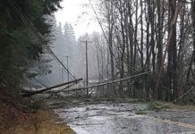 Windstorm leaves 160,000 BC Hydro customers in Lower Mainland, Vancouver Island without power