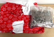 Vancouver passenger with over 10 kg of gift-wrapped meth arrested in New Zealand
