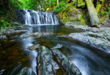Camping reservations open in several BC Parks campgrounds