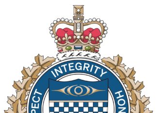 Fight at a house in Surrey sends six to hospital