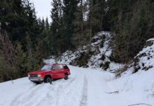 Stolen vehicle in Abbotsford leads to arrest of prolific offender