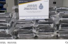 Arshdeep Singh, 26, of Calgary arrested with 108 kg of cocaine at Alberta’s Coutts port of entry