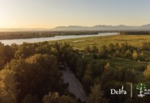 Delta’s Planting Our Roots – Free Tree Project returns this spring