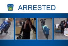 5 South Asians arrested in theft ring targeting Liquor Control Board of Ontario; about $238,000 worth of products stolen
