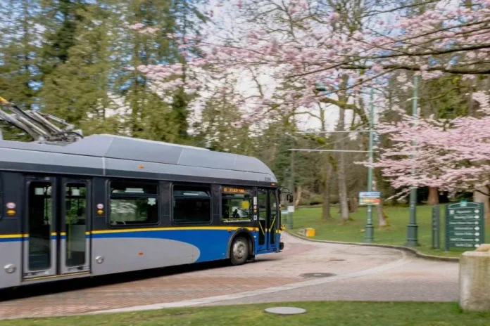 TRANSLINK