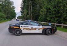 Youth fatally stabbed in Abbotsford’s Larch Park; two youth suspects arrested