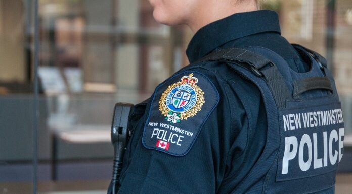 Suspected grenade at New Westminster park turns out to be butane lighter