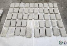 2 Canadians among 7 men charged by Australian police for allegedly using ‘trusted insiders’ to import over 300 kg of illicit drugs