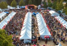 Surrey Fusion Festival returns to Holland Park this weekend