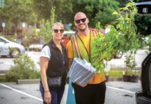 Plant a tree for $20: Surrey’s popular sale returns in August