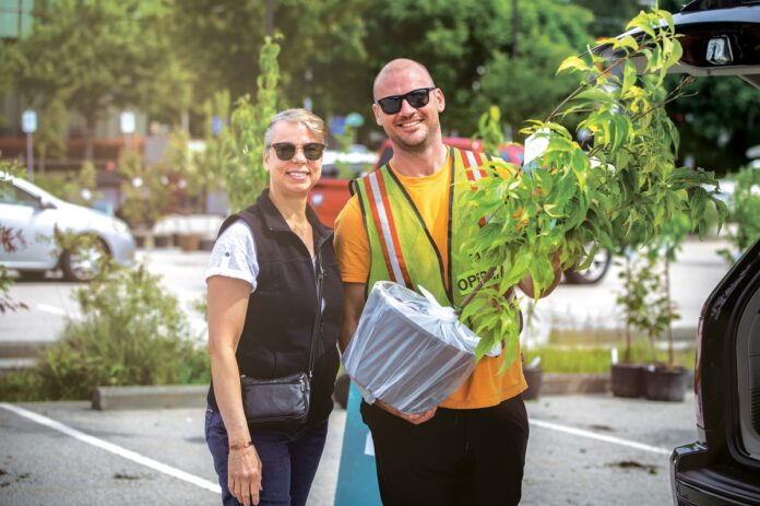 2025-COS-Tree-Sales