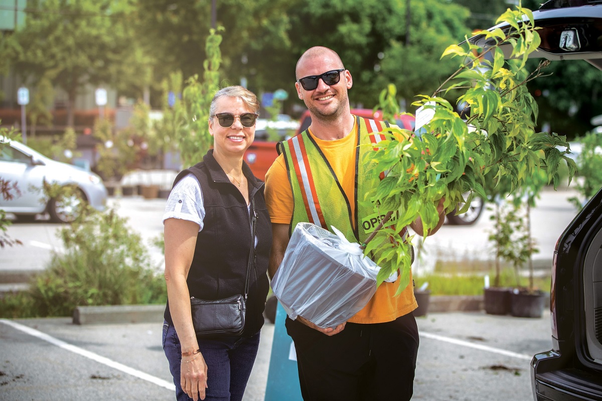 Plant a tree for $20: Surrey’s popular sale returns in August