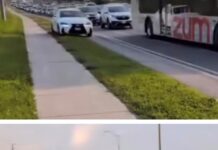 ONTARIO: Ranjit Singh, 56, of Brampton arrested for driving on sidewalk