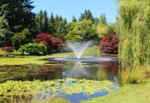 VanDusen Botanical Garden celebrates 50 blooming years