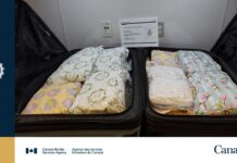29 kg of meth seized from traveller headed to Hong Kong at Vancouver International Airport
