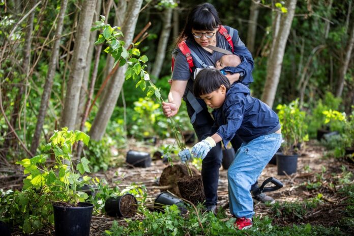 SURREY Arbor Day 2025-web