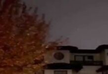 Bishnoi gang claims responsibility for shots fired at Punjabi singer’s residence on Sunday (update)