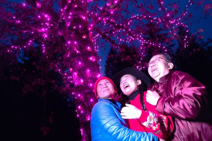 Bear Creek Lights_web