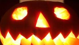 BC SPCA: Halloween tips for pets and wildlife