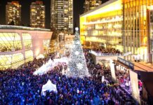 Surrey Tree Lighting Festival and Holiday Market with free outdoor ice skating