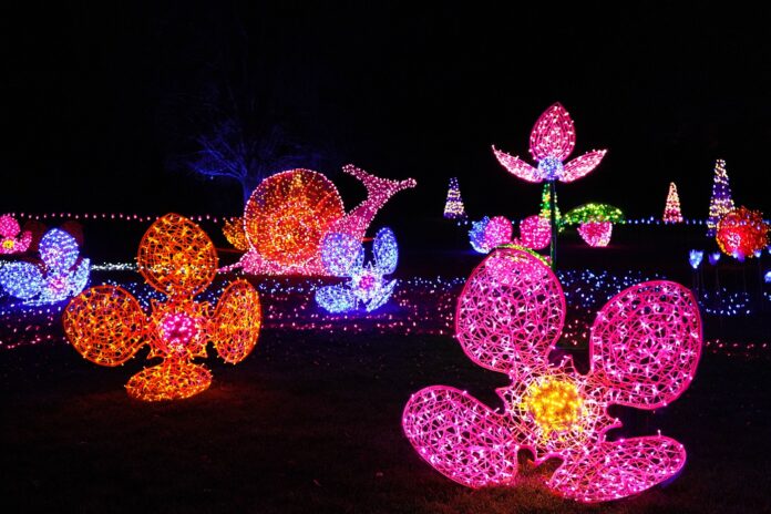 COV Festival-of-lights-2024-1-15