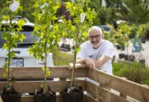 Surrey’s $20 tree sales return this spring