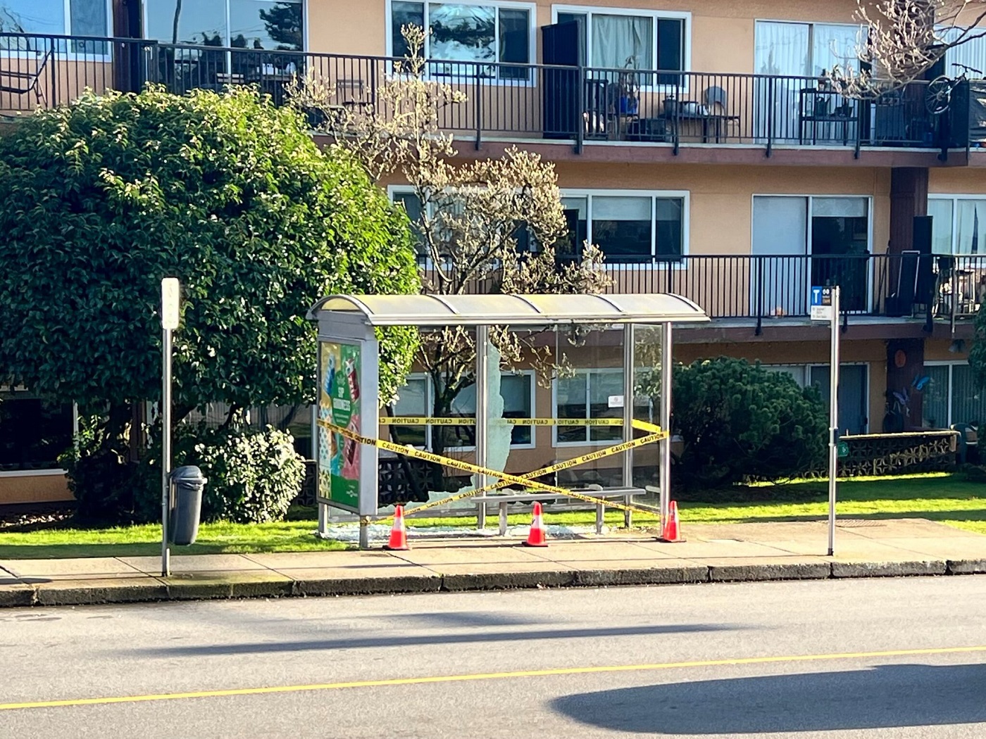 Transit Police investigate vandalized bus shelters