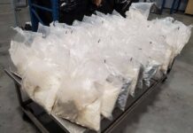 Joint investigation leads to convictions in Australia in transnational drug exportation case