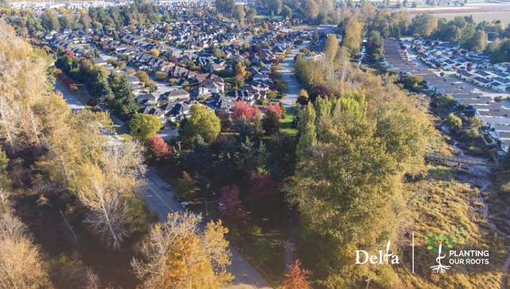 Delta’s ‘Planting Our Roots – Free Tree Project’ returns for Spring 2026
