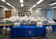 Brampton’s Guramrit Sidhu pleads guilty to leading group that trafficked over 850 kg of meth and cocaine from U.S. into Canada