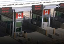 CBSA officer and truck driver Abhishek Abhishek charged in Ontario contraband importation case