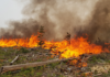 Update on supports for Summerland-area evacuees