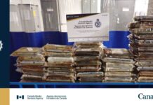 CBSA officers seize 86.9 kg of cocaine at Coutts port of entry in Alberta